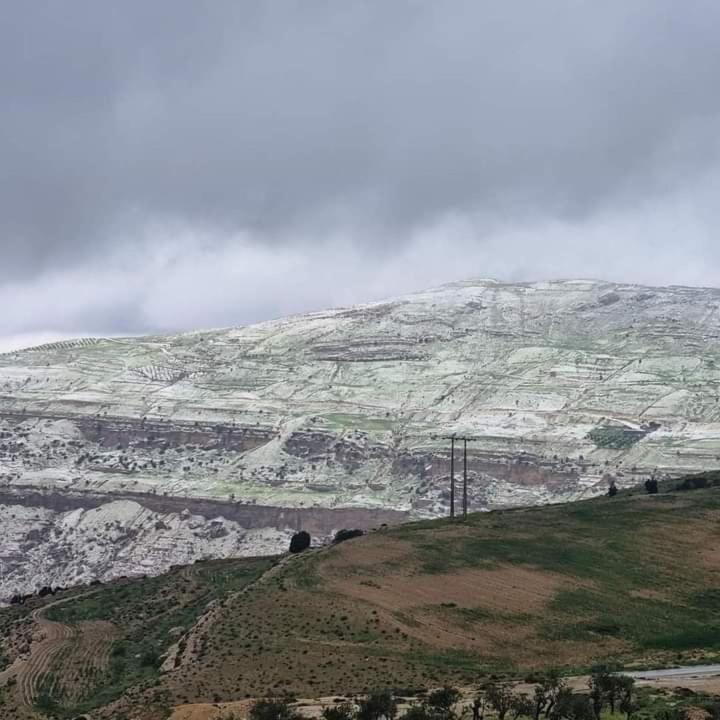 Petra Pass Hostel 와디무사 외부 사진